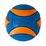 Chuckit Ultra Squeaker Ball - Large