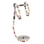 Rogz Glowcat H-harness And Lead Combination - Gecko Design