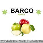 Flavour Oil Apple