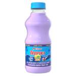Blueberry Cheesecake Flavoured Limited Edition Dairy Fruit Mix 500ML