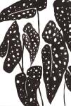 Spotted Over There Art Print - A0