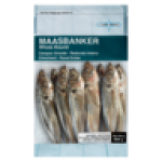 Frozen Maasbanker Whole Round Fish 800G