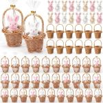 Seenelling 24 Set 72 Pcs Easter Gifts Bulk MINI Easter Bunny Plush With MINI Wicker Basket 2.4 In Stuffed Rabbit With 3.1 In Wo