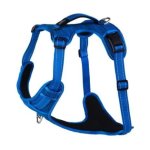 Rogz Utility Extra Large Lumberjack Explore Harness Blue Reflective Waggs Pet Shop