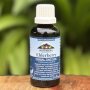 Waterberg Organics – Elderberry Tincture