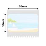 NB733 - - B1 B21 B3S B4 - 50X30MM - 230 Summerscene Labels