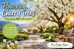 Flowering Cherry Tree White Flower