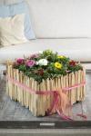 Ranunculus Sprinkles Mix Seed - 10 Pelleted Seed
