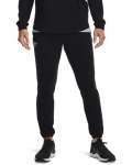 Men's Project Rock Terry Pants - BLACK-001 Md