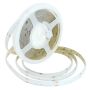 Universal Flexible Cob LED Lighting Stripe - Size: 8MM X 5M - Red