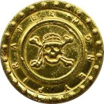Pirate Money