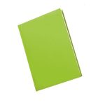 A5 Diary Page A Ps 2026 Lime Green