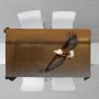 African Fish Eagle Visarend Flyby By Fanie Heymans Rectangle Tablecloth