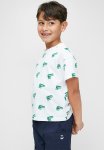 PoP Candy Printed Dino Tee - Green & White