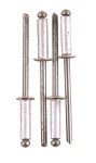 Fragram - Aluminium Rivets 100 Piece - 4.0X8MM