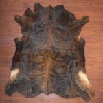 A Grade Nguni Hide 313 Tricolour L - Large Tricolour Brindle