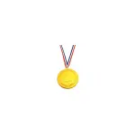 Steenland Gold Medal