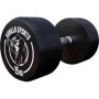 Fixed Dumbbell 15KG