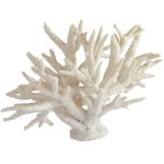 Large White Coral Branch
