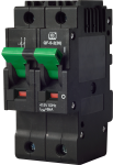 QF-S-2 26MM 100A 2P 6KA Isolator