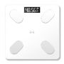 Personal Body Weight Scale