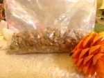 Burdock Herb 75G