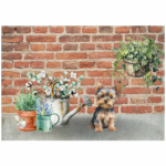 Tear Resistant Deco Pups And Plants