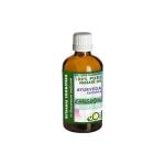 Ashwagandha Ayurveda Carrier Oil - 100 Ml