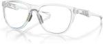 Oakley Nanowire 2.0 Polarized