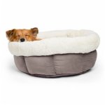 Best Friends Cuddle Cup Ilan Pet Bed - Grey jumbo Waggs Online Pet Shop