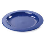 Flexo Dinner Plates Blue