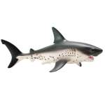 Salmon Shark -