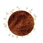 Indian Cornbeard Zea Mays - 50G