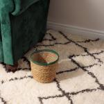 Planter Basket Fern