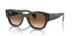 - Jorge -striped Green On Green clear Gradient Brown - Size 52