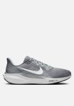 Nike Pegasus 41