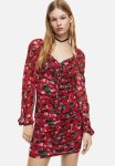 Gathered Mesh Dress - Red Floral