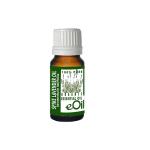 Lavender Spike Essential Oil Organic - 10 Ml