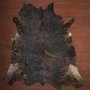 Aas Grade Nguni Hide 120 Brindle XXL - Extra Extra Large / Brindle / Panelled