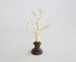 Natural Coral On Stand 36X21CM