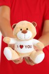 Valentine’s Day Plush Teddy Bear