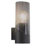Briana Outdoor Wall Light Black And Smoke