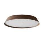 Mcclain LED Ceiling Light