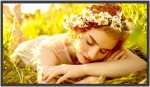 LG 43UL5Q-M 43INCH Uhd Signage Display 3840 X 2160 Resolution HDMI USB Wifi