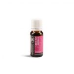 Bed Of Roses Burner Oil 12ML