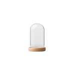Glass Dome With Pine Base - 7X12CM