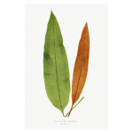 Gathering Green 6 Art Print