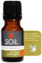 Vetiver Essential Oil
