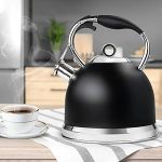 Colour-coated Stainless Steel Whistling Kettle