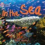 In The Sea: Band 01b pink B